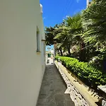 Azul *