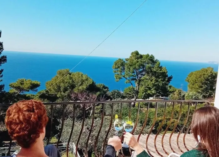 Azul Отель типа 